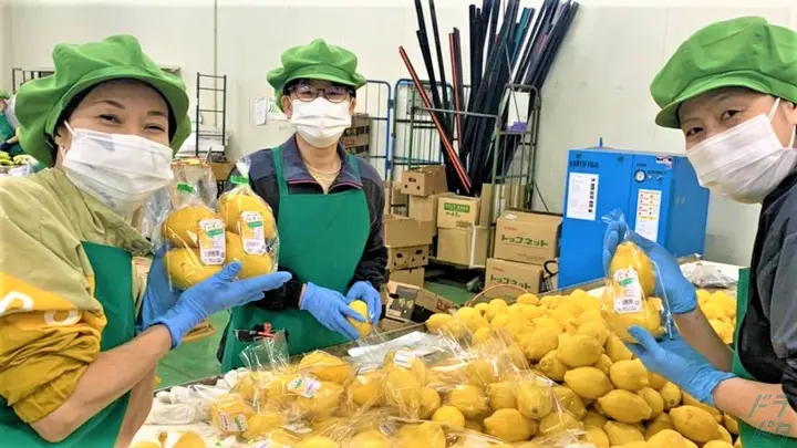 株式会社福岡ソノリク 関西営業所の転職情報　No.94950