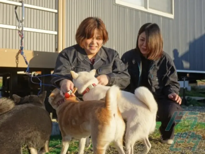 株式会社FBLトランスポートの転職情報　No.79768