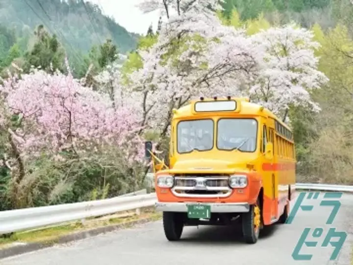 愛知県の運転手求人　No.71583