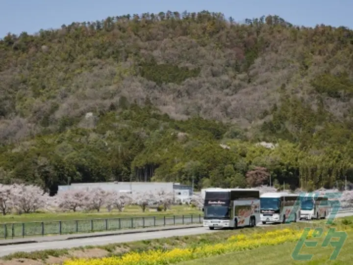 兵庫県丹波篠山市の高速バス乗務員の求人情報イメージ - 株式会社サンシャインエクスプレス 本社 - No.52925-03