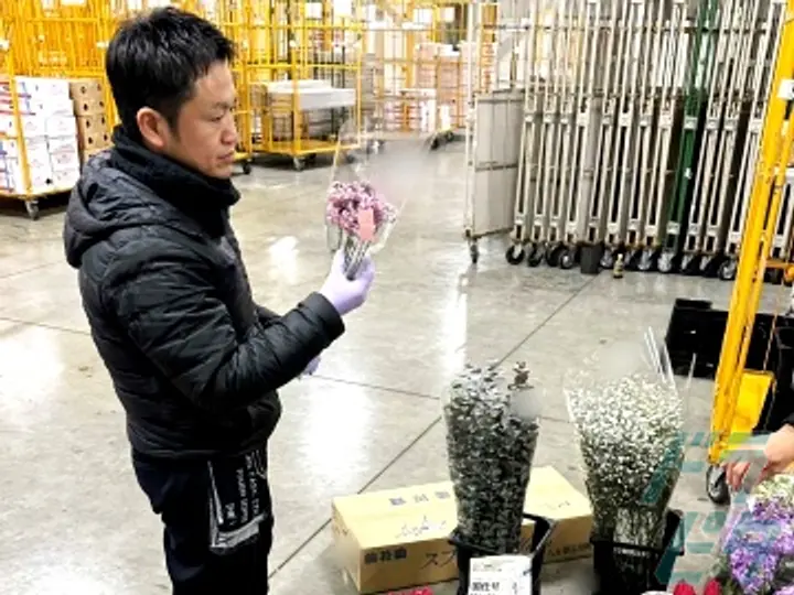 株式会社CAVINの転職情報　No.75341