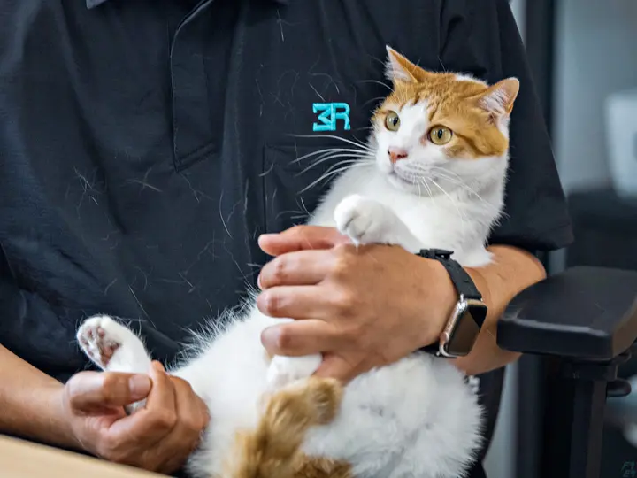 愛知県の運転手求人　No.79598