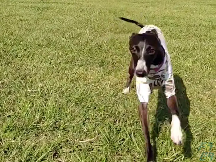 東京都江戸川区の大型トラックドライバーの求人情報イメージ - 有限会社石井興業 本社 - No.76976-02