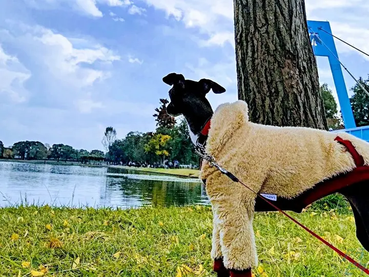 東京都江戸川区の大型トラックドライバーの求人情報イメージ - 有限会社石井興業 本社 - No.76976-03