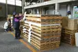 愛知県小牧市の倉庫作業員の求人情報イメージ - 株式会社トータル・システムズ - No.84875-01