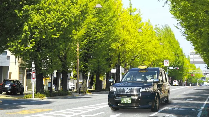 福岡県北九州市八幡西区永犬丸南町のタクシードライバーの求人情報イメージ - 有限会社三ヶ森タクシー - No.86376-03